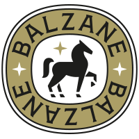 logotype